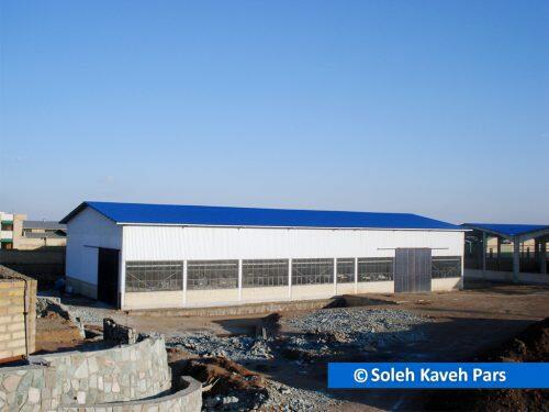 Kaveh2 1