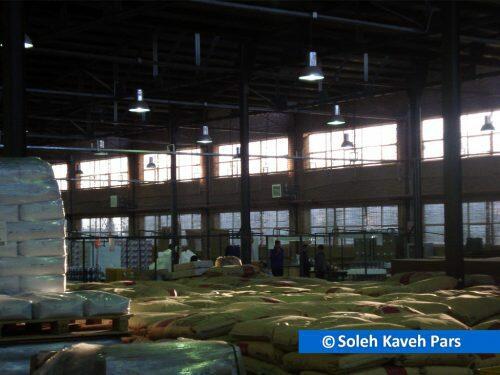 Kaveh2 8